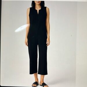 Eileen fisher organic cotton pointe jumpsuit